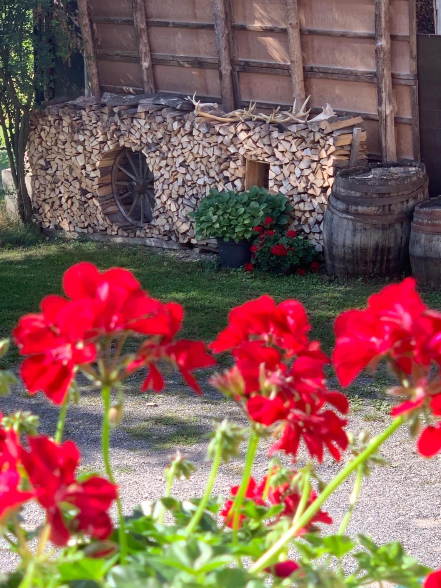 Gaestehaus Gnant *